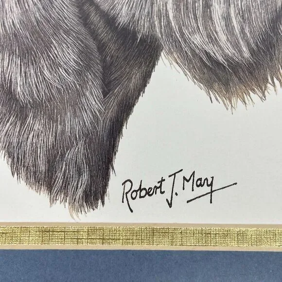 Vintage Schnauzer Framed Print Robert J May Heaven Quote Dog Wall Art 10x12 - Picture 8 of 16